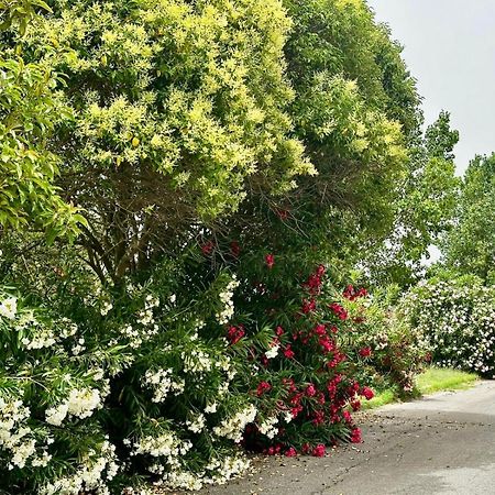 فيلا Casa Mila White Marina di Cerveteri المظهر الخارجي الصورة