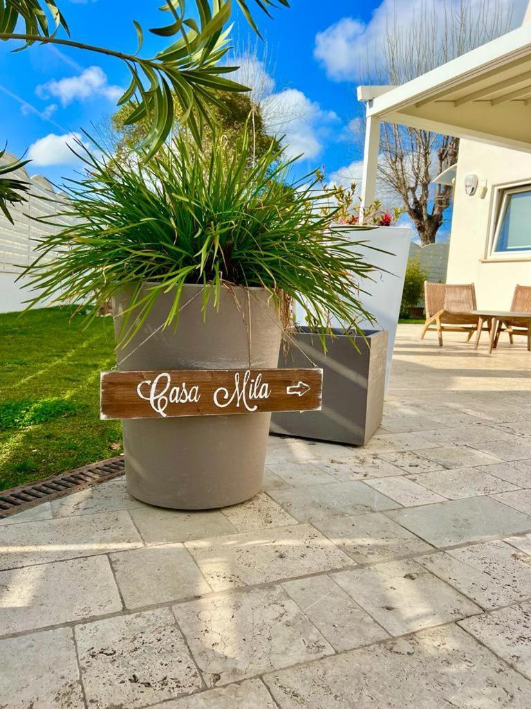 فيلا Casa Mila White Marina di Cerveteri المظهر الخارجي الصورة