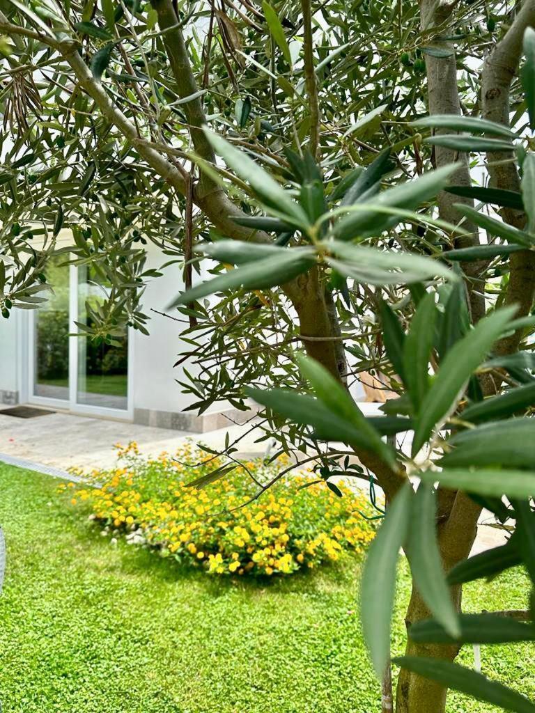 فيلا Casa Mila White Marina di Cerveteri المظهر الخارجي الصورة