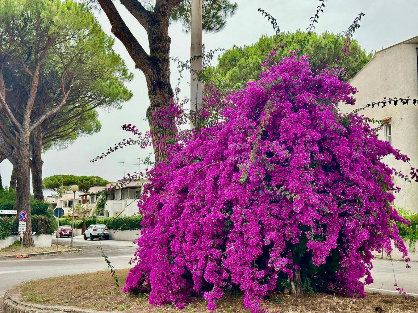 فيلا Casa Mila White Marina di Cerveteri المظهر الخارجي الصورة