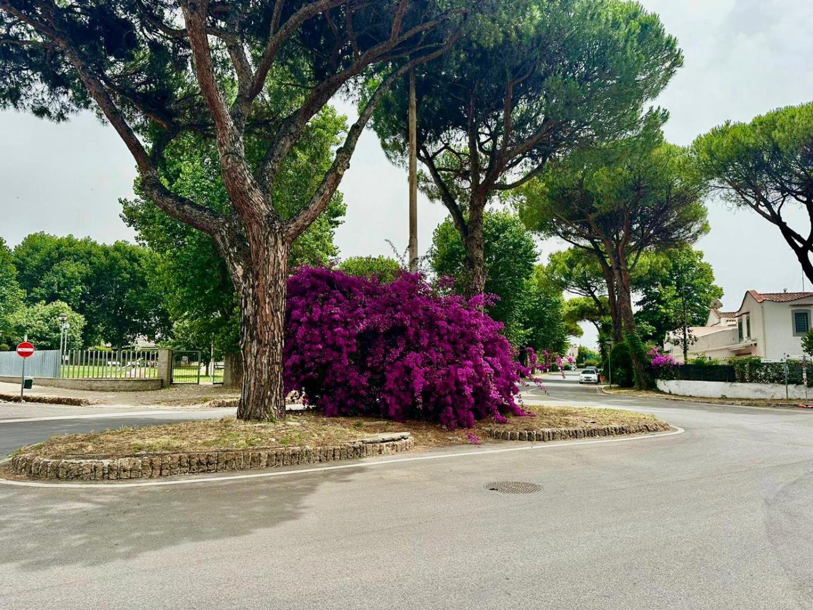 فيلا Casa Mila White Marina di Cerveteri المظهر الخارجي الصورة